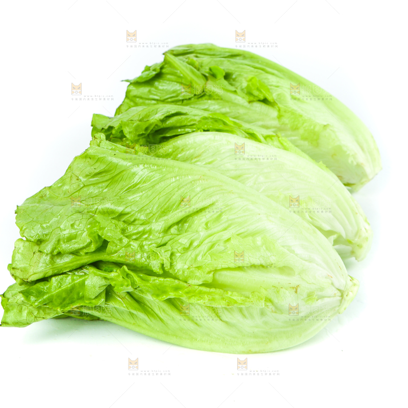 白底上的生菜