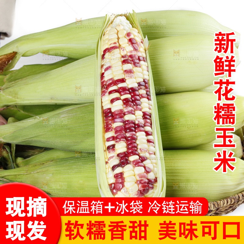 手端一盘花糯玉米