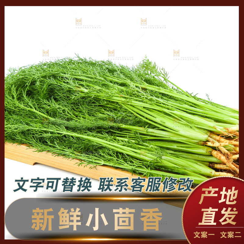 白底上放着小茴香