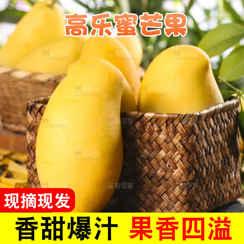 篮子里装着玉芒