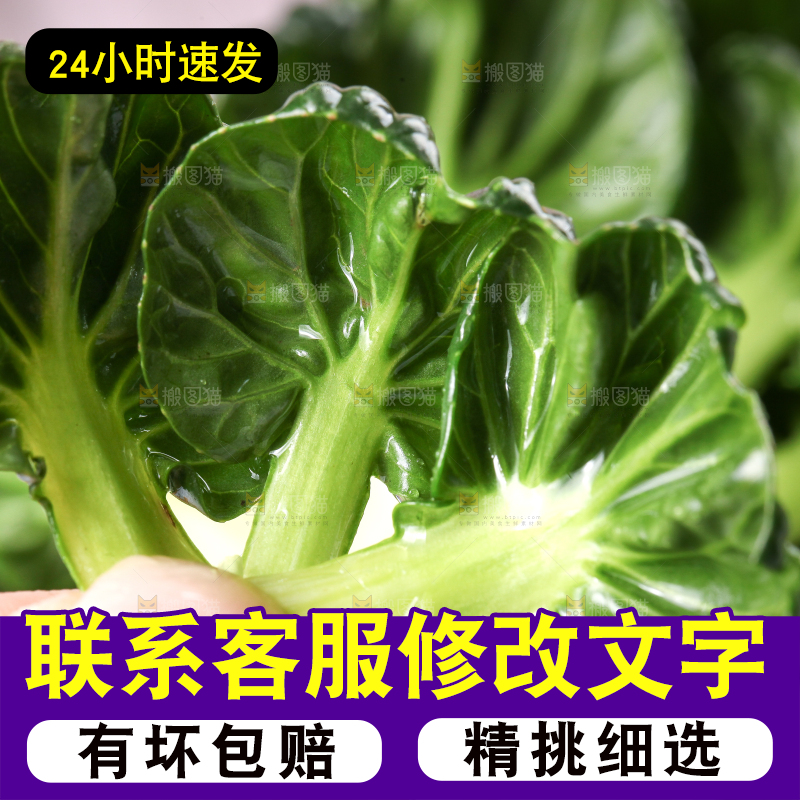 浅底上放着菊花菜