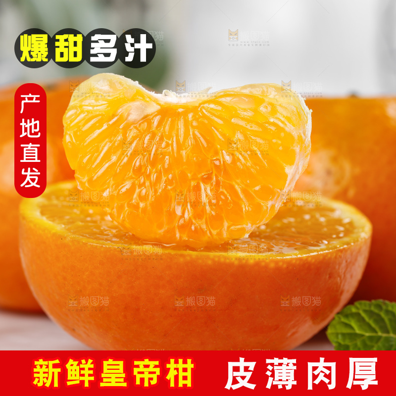 石板上的广西皇帝柑