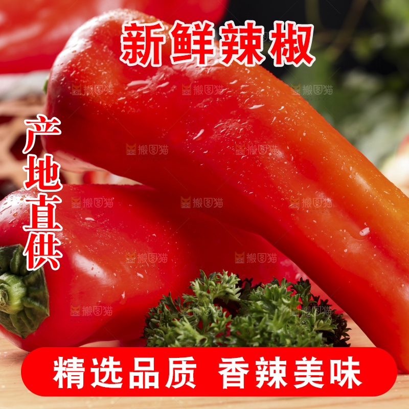 木板上摆放着山东红辣椒