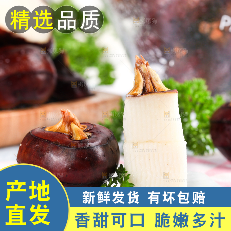 彩底上的马蹄果