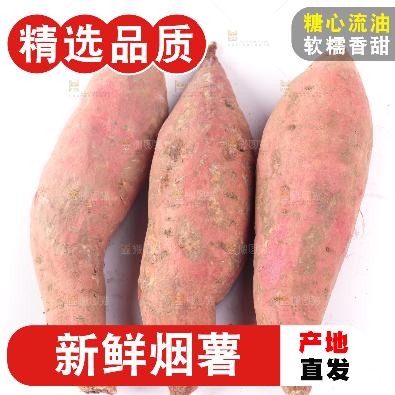 白底上蜜署