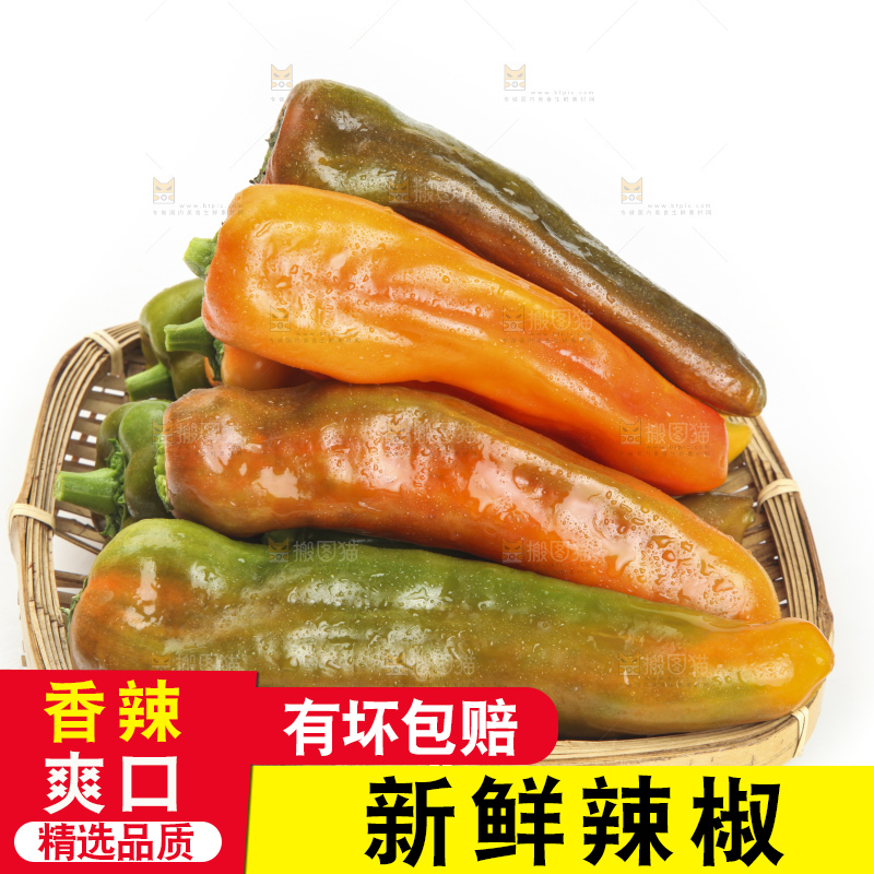 白底上的彩色辣椒