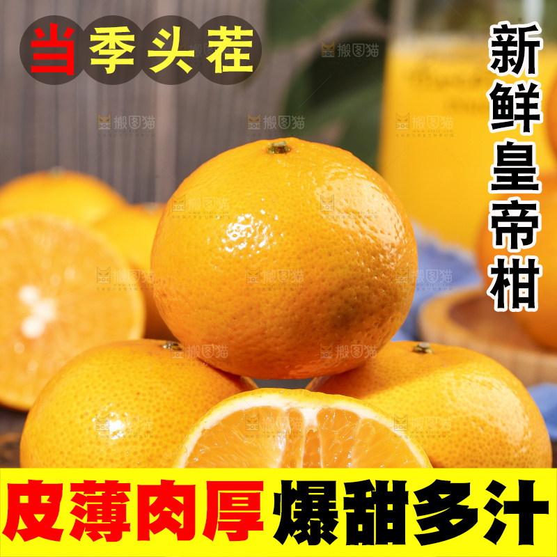 黑石板上切开的武鸣皇帝柑