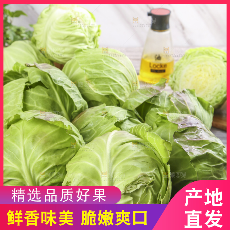 盘子里装着包心菜