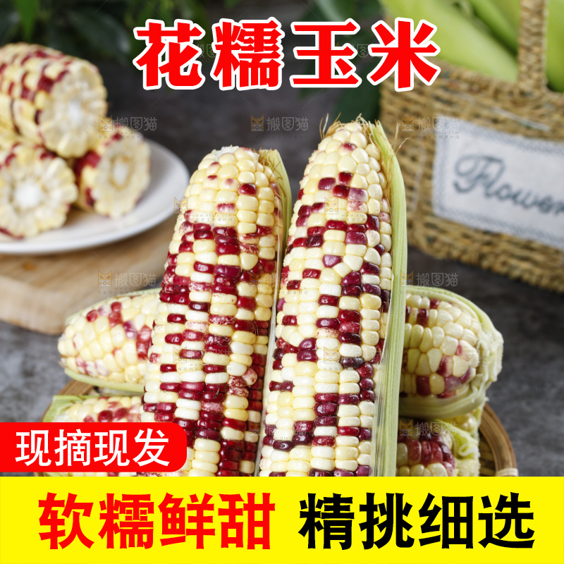 深底上放着一盘剥皮的糯玉米