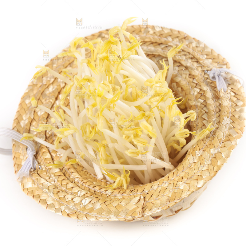 白底上放着绿豆芽