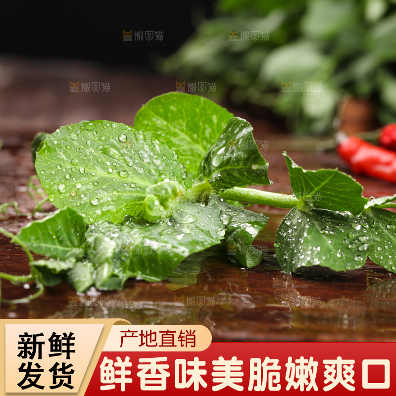 深底上的四川豌豆尖