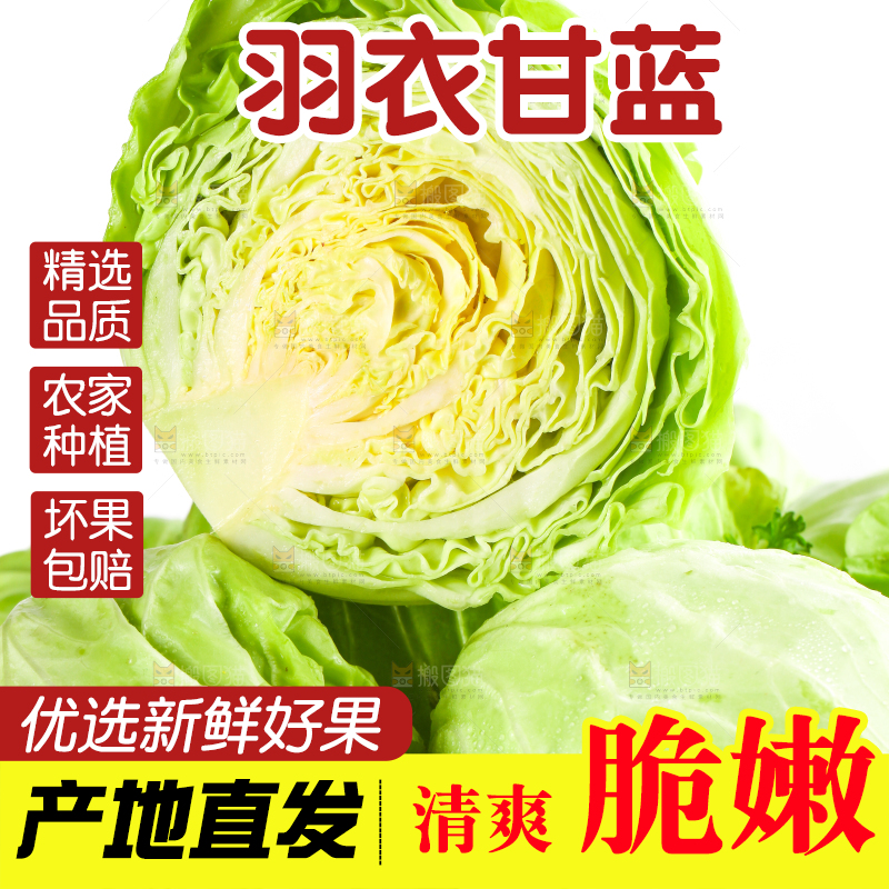 篮子里装绿甘蓝
