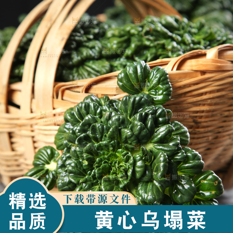 篮子里装着乌塌菜