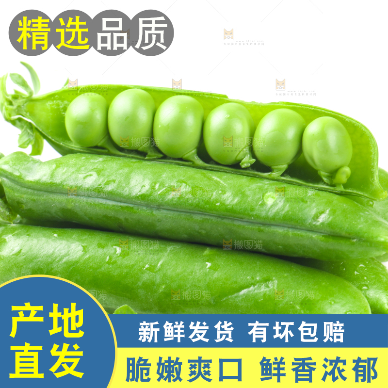 剥开的新鲜豌豆放在白底上