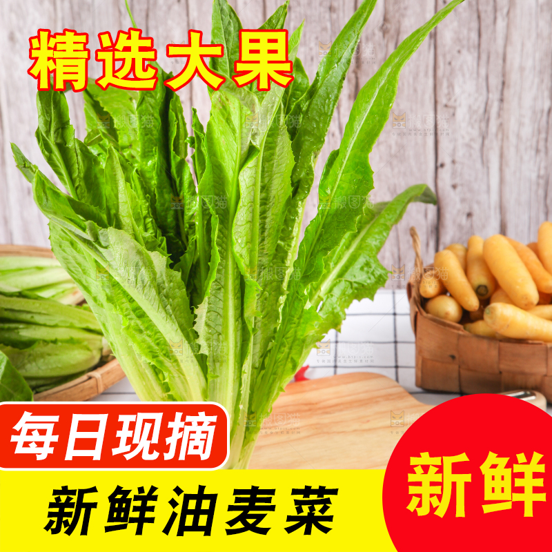 白格子底上放着新鲜油麦菜