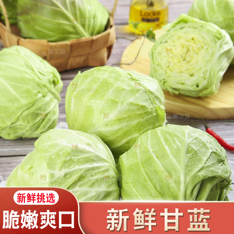 白格子底上的甘蓝包菜