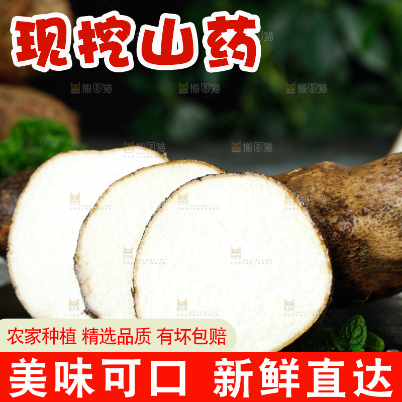 黑底上的金秤砣山药