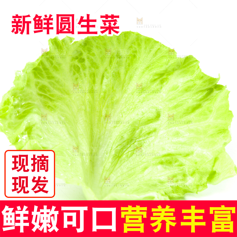 篮子里装着农家圆生菜