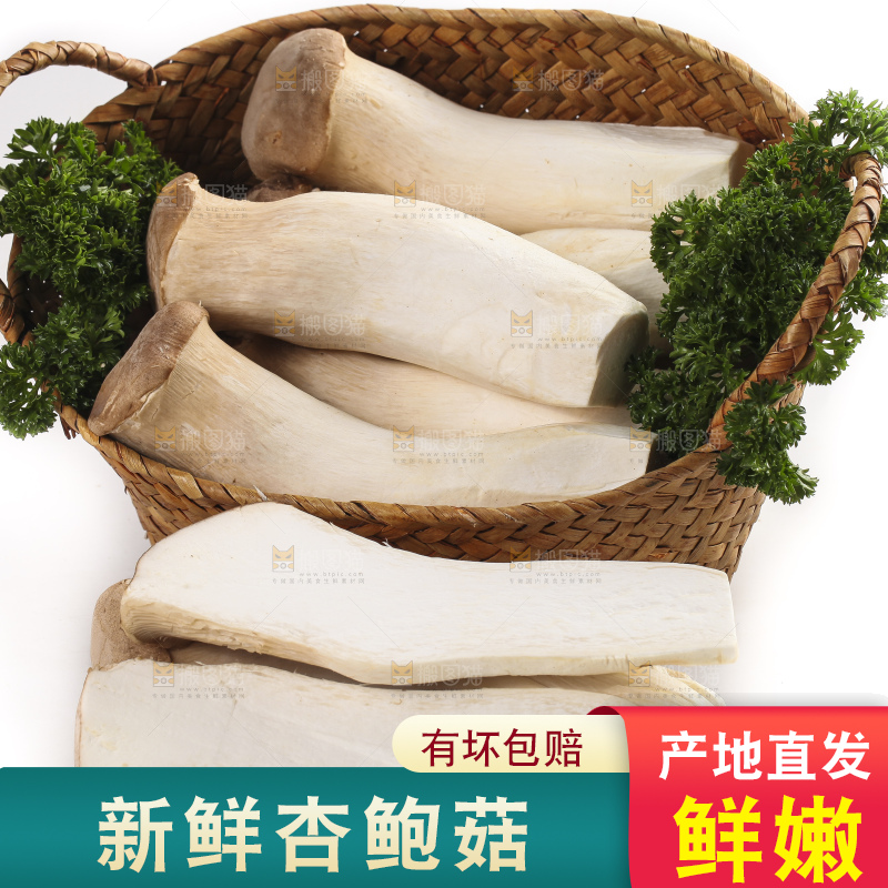 篮子里的菌菇