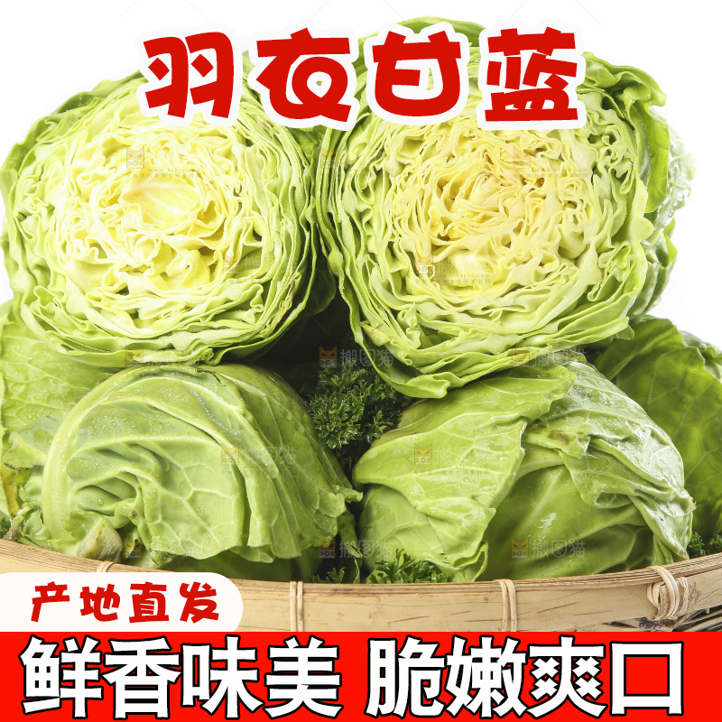 篮子里装着洋白菜
