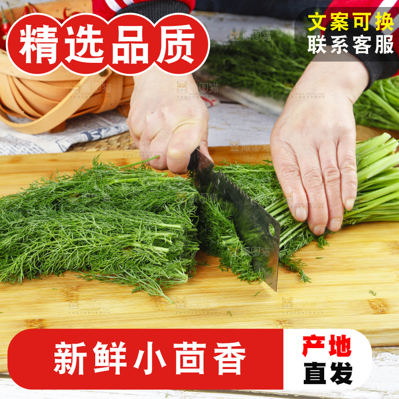 木板上的土茴香