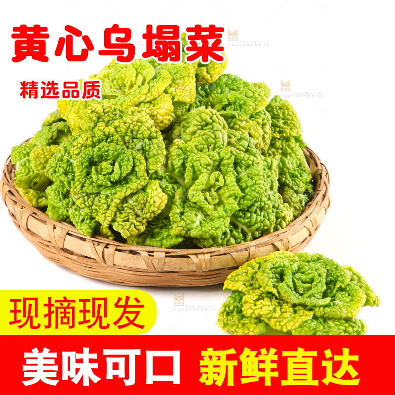 篮子里装着乌塌菜