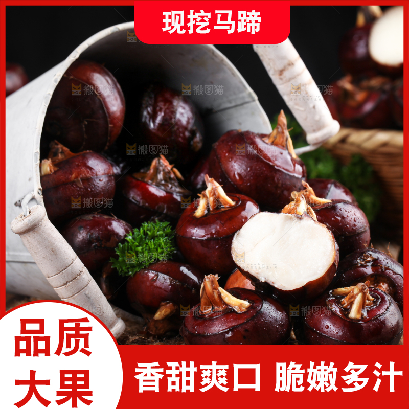 深底上的广西荔浦马蹄