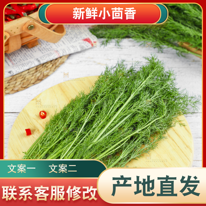 木板上的云南小茴香菜
