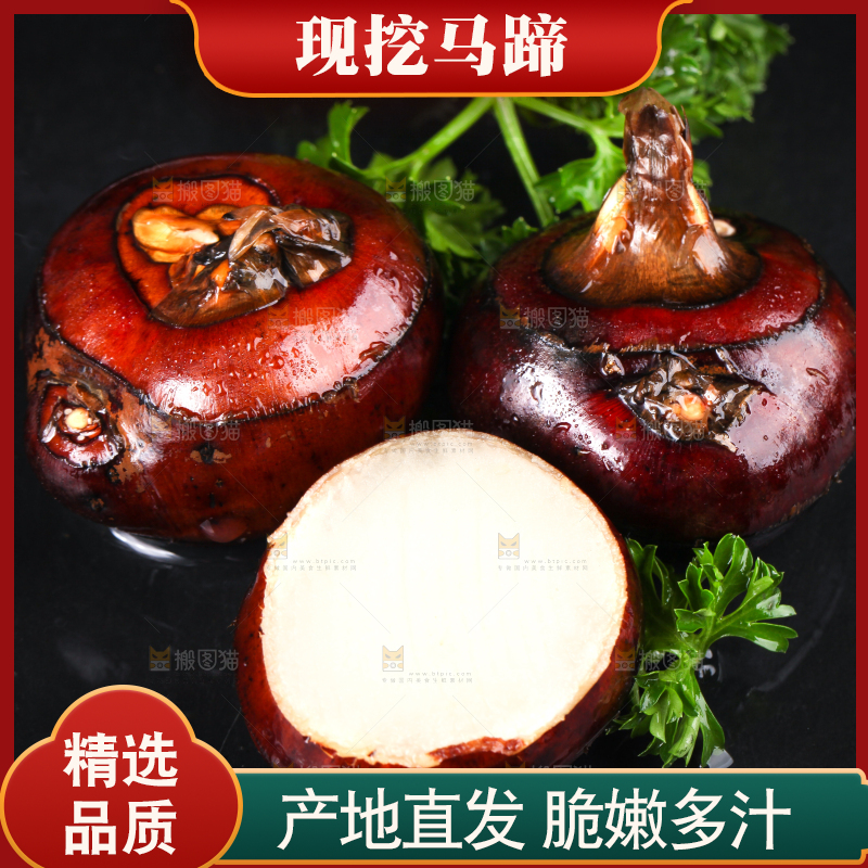 黑石板上的荸荠