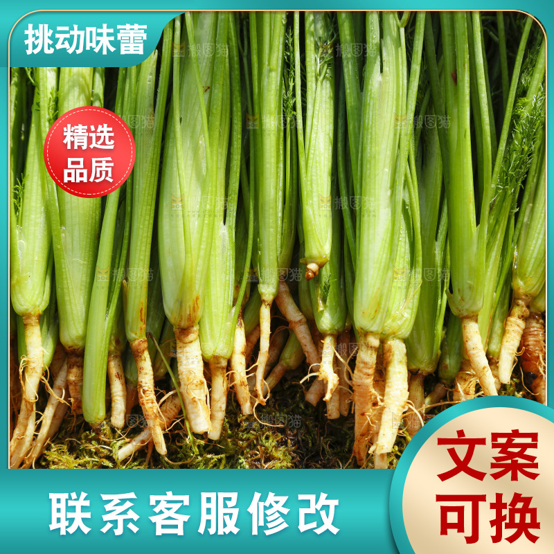 土地上放着茴香菜