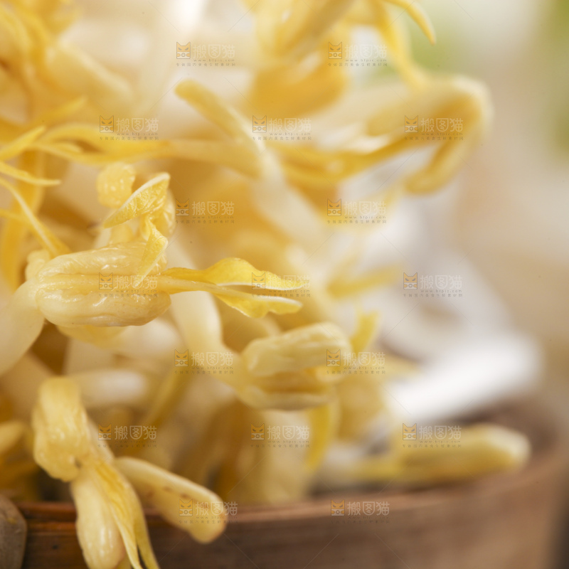 木板上的嫩豆芽