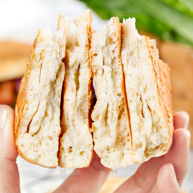 白格子底上的河南吊炉烧饼