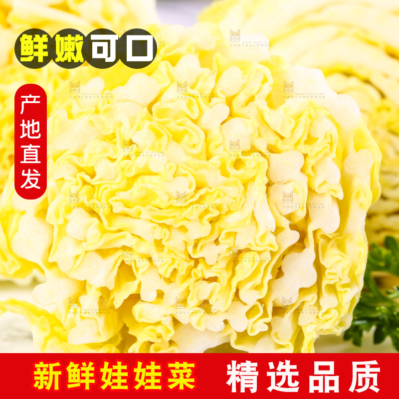 白格子底上的农家自种娃娃菜