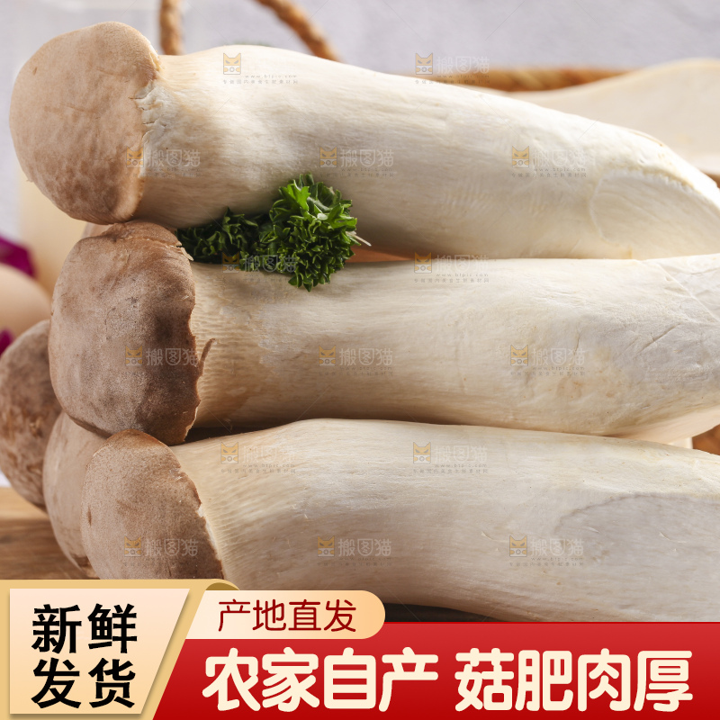 木板上的新鲜杏鲍菇