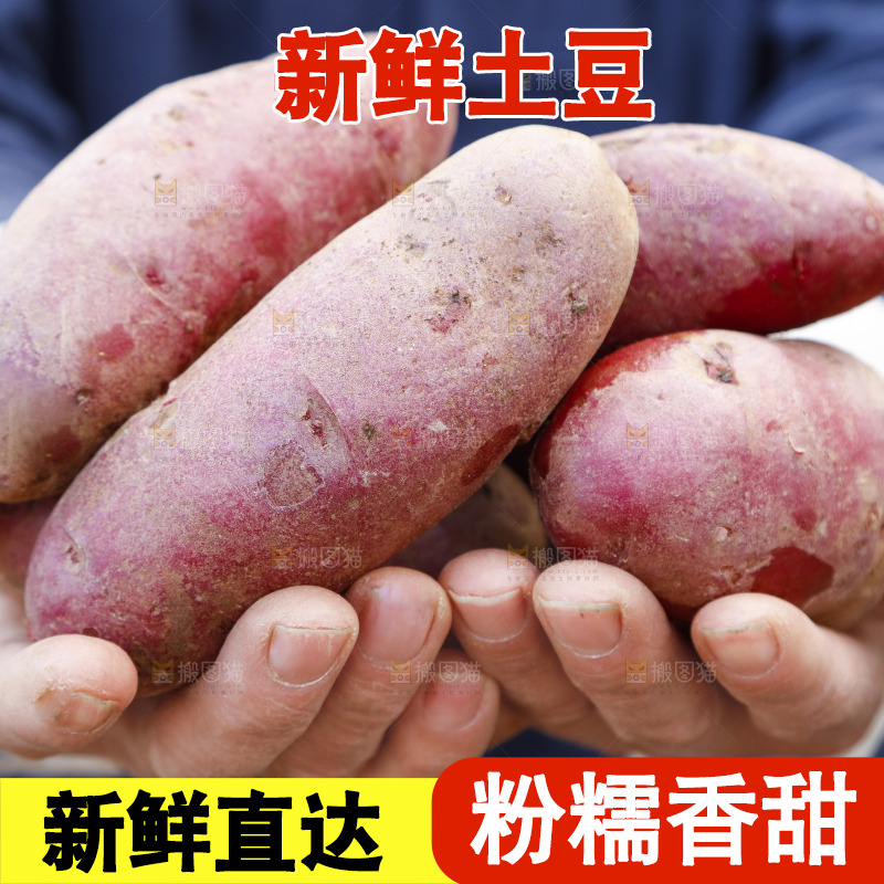 手里拿着新鲜红土豆