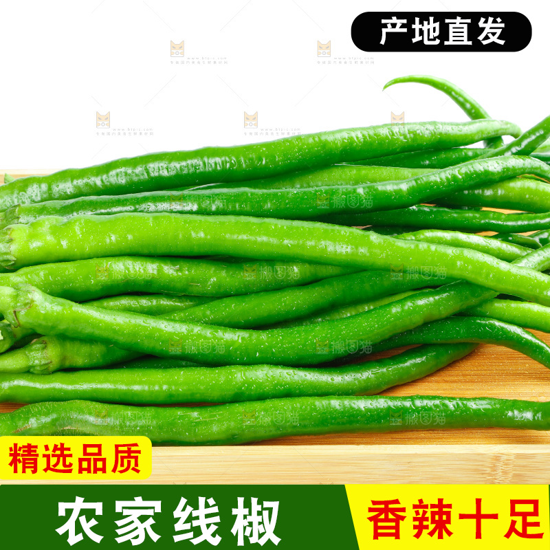 白底上放着二荆条辣椒
