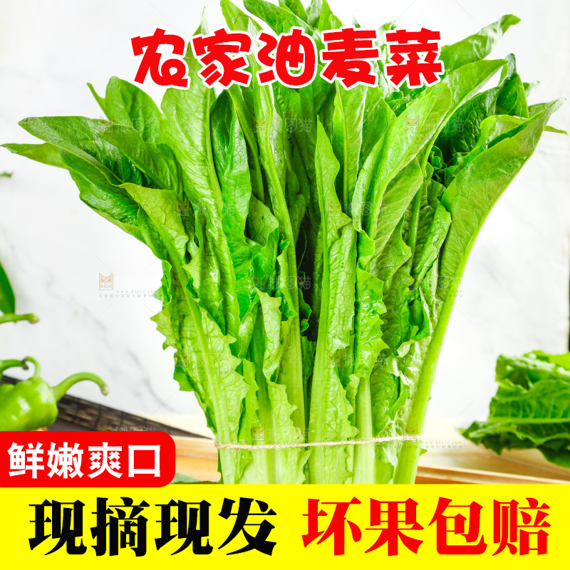 木板上的米香油麦菜
