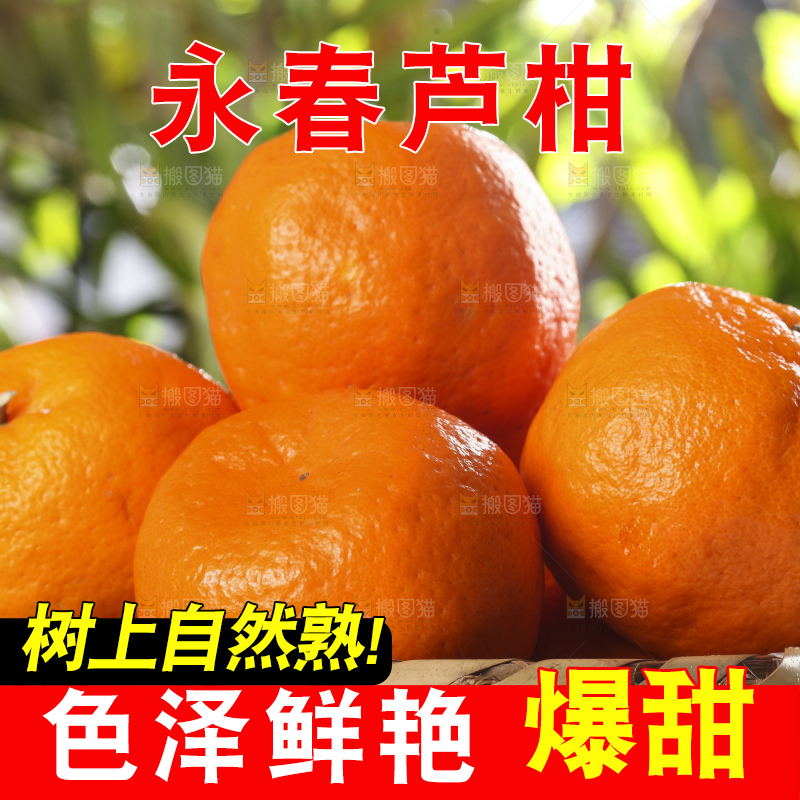 篮子里装着新鲜芦柑