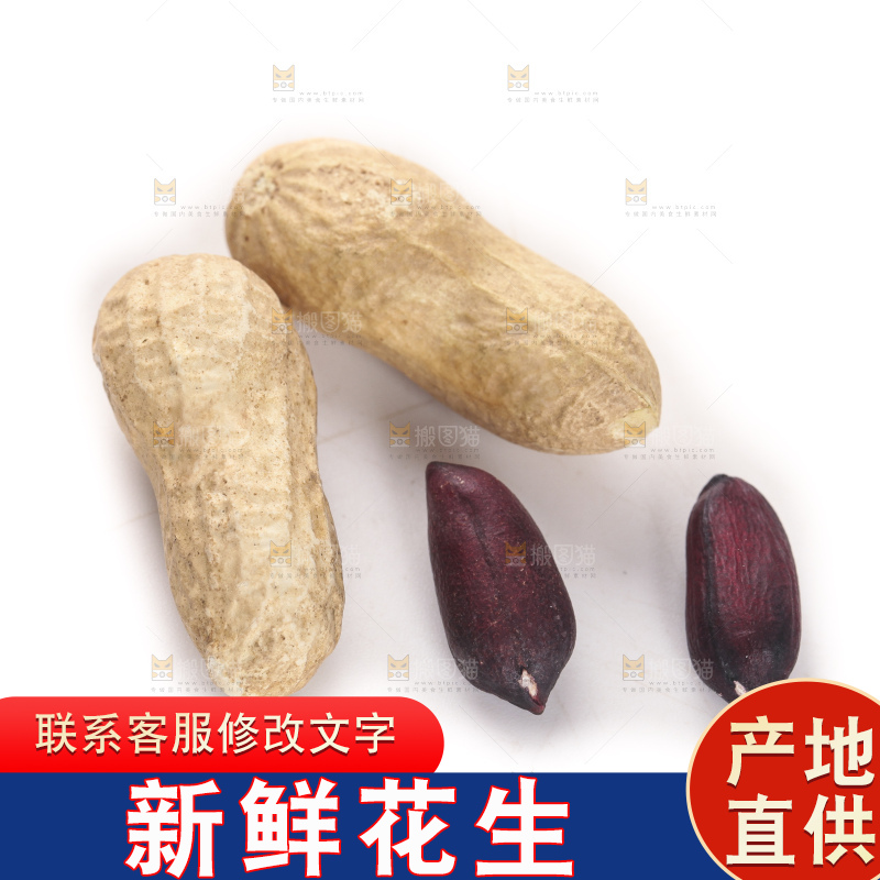 白底上的黑皮花生