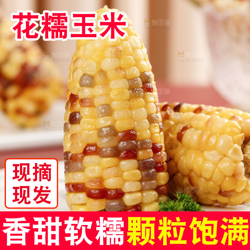 浅底上放着一盘熟糯玉米