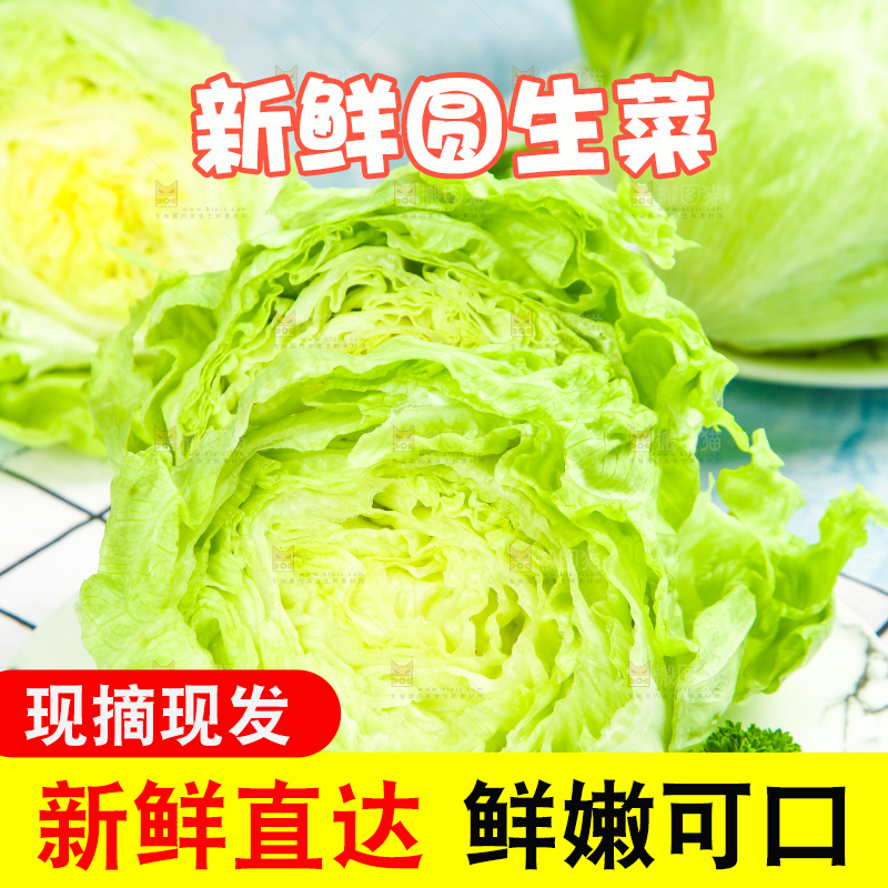 盘子里装着球生菜