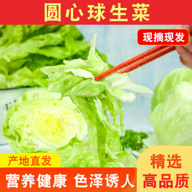 盘子里装着球生菜