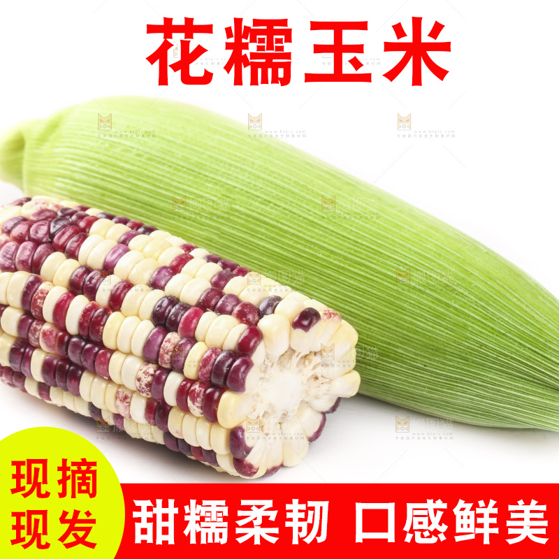 剥皮的花糯玉米放在白底上