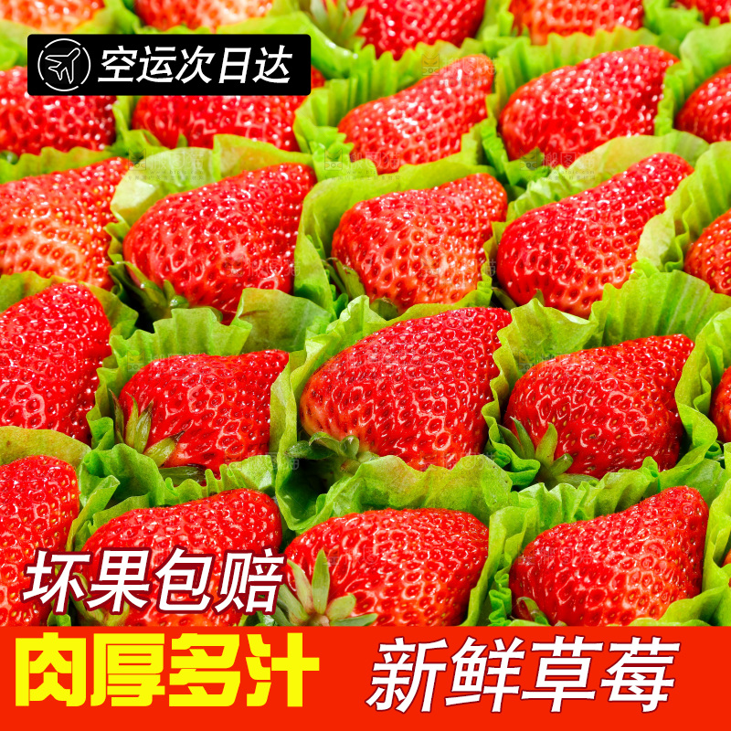 箱子里的新鲜草莓