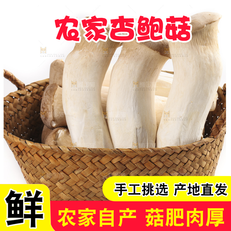 篮子里的菌菇