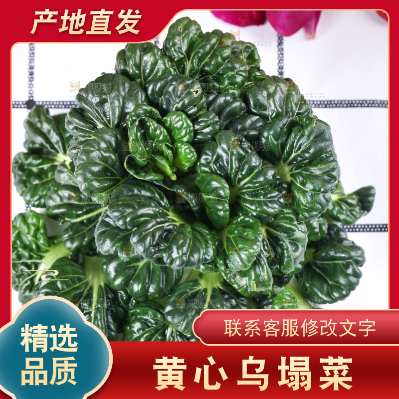 浅底上放着菊花菜