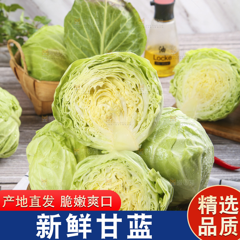 盘子里装着包心菜