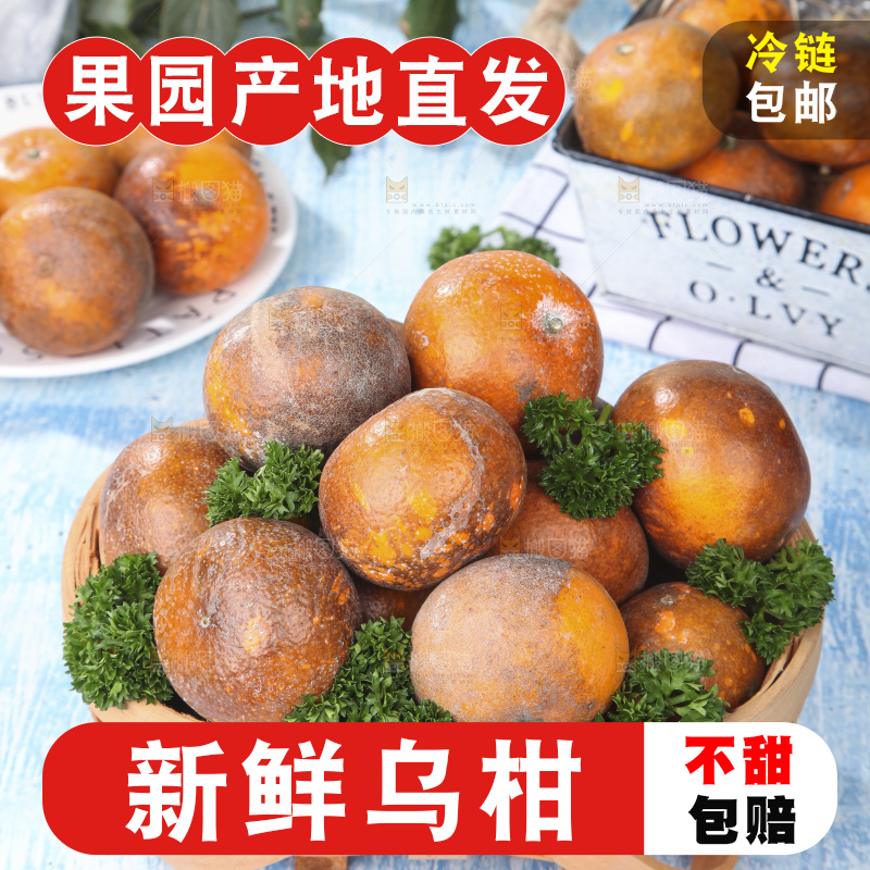 篮子里装着广西乌柑