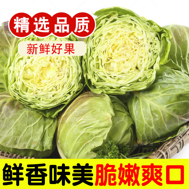 篮子里装着洋白菜