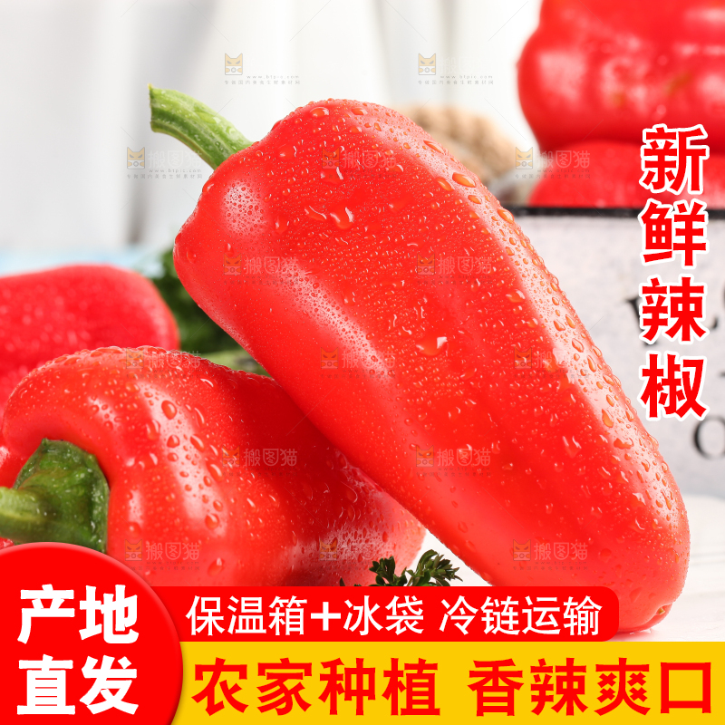 石板上的山东红辣椒